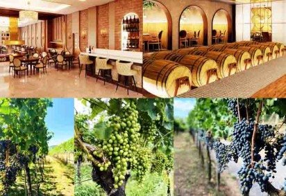 O Sul do Brasil é um destino encantador para os amantes de vinho e boa gastronomia. Repleto de vinícolas premiadas, paisagens deslumbrantes e experiências únicas, a região oferece desde tours com degustações até hospedagens diferenciadas.  -  (crédito: Instagram @castelosdovale) -O Sul do Brasil é um destino encantador para os amantes de vinho e boa gastronomia. Repleto de vinícolas premiadas, paisagens deslumbrantes e experiências únicas, a região oferece desde tours com degustações até hospedagens diferenciadas.  -  (crédito: Instagram @castelosdovale)