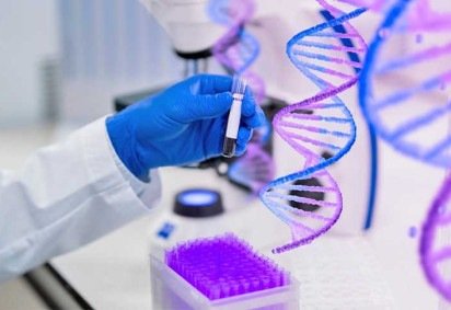 Cientistas da Universidade de Edimburgo descobriram que um gene chamado MC1R, conhecido por influenciar a cor do cabelo e da pele, também afeta a cicatrização de feridas. Pessoas ruivas costumam ter versões menos ativas desse gene, o que ajuda a explicar por que algumas feridas nelas demoram mais para fechar.
 -  (crédito: Imagem Freepik) -Cientistas da Universidade de Edimburgo descobriram que um gene chamado MC1R, conhecido por influenciar a cor do cabelo e da pele, também afeta a cicatrização de feridas. Pessoas ruivas costumam ter versões menos ativas desse gene, o que ajuda a explicar por que algumas feridas nelas demoram mais para fechar.
 -  (crédito: Imagem Freepik)