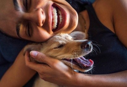 O lobo-cinzento moderno é o parente vivo mais próximo dos cães domésticos. -  (crédito: Getty Images) -O lobo-cinzento moderno é o parente vivo mais próximo dos cães domésticos. -  (crédito: Getty Images)
