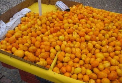 Ricas em vitaminas e refrescantes, as frutas são ótimas opções. Previnem doenças e proporcionam bem-estar. No entanto, engana-se quem acha que banana e laranja, que foram símbolos do Brasil, tenham origem verde e amarela. Com isso, o Flipar traz uma lista de frutas que nasceram no país, algumas desconhecidas do público. -  (crédito: Mateus Hidalgo/Wikipedia) -Ricas em vitaminas e refrescantes, as frutas são ótimas opções. Previnem doenças e proporcionam bem-estar. No entanto, engana-se quem acha que banana e laranja, que foram símbolos do Brasil, tenham origem verde e amarela. Com isso, o Flipar traz uma lista de frutas que nasceram no país, algumas desconhecidas do público. -  (crédito: Mateus Hidalgo/Wikipedia)