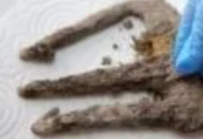 Uma peça histórica, datada do século III ou IV, foi encontrada recentemente na antiga cidade de Assos, na Turquia. Trata-se de um tridente de ferro. Ele estava oxidado e coberto por solo, e foi encontrado por uma equipe de arqueólogos da Universidade Canakkale Onsekiz Mart.  -  (crédito: Reprodução twitter) -Uma peça histórica, datada do século III ou IV, foi encontrada recentemente na antiga cidade de Assos, na Turquia. Trata-se de um tridente de ferro. Ele estava oxidado e coberto por solo, e foi encontrado por uma equipe de arqueólogos da Universidade Canakkale Onsekiz Mart.  -  (crédito: Reprodução twitter)