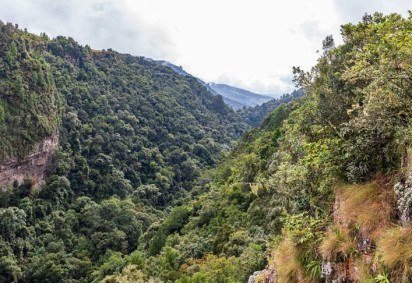A Natureza tem tanta diversidade animal que, além de belos espécimes, também existem seres com  aparência pavorosa. Veja alguns dos animais mais feios do planeta. -  (crédito: wikimedia commons Dietmar Rabich) -A Natureza tem tanta diversidade animal que, além de belos espécimes, também existem seres com  aparência pavorosa. Veja alguns dos animais mais feios do planeta. -  (crédito: wikimedia commons Dietmar Rabich)