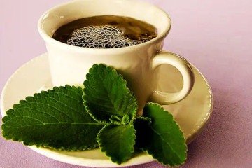 Chás podem ser grandes aliados após refeições exageradas -  (crédito: Recitadavovo.com.brDiur&eacute;tico, Anti-Inflamat&oacute;rio,  Gases, Calmante, )