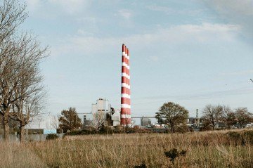 Grama urbana comum: técnica promete medir CO2 emitido por queima de combustíveis fósseis -  (crédito: Dylan Spangler/Pexels )