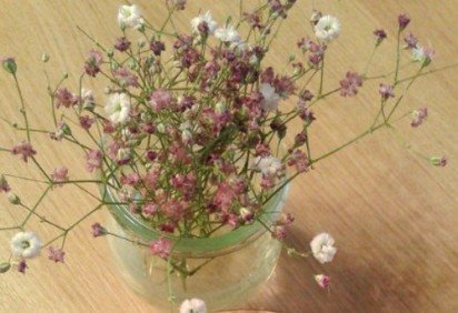 Celebridades como Gisele Bündchen, Virgínia Fonseca e Simone Mendes são fãs declaradas da banana e costumam incluí-la nas refeições diárias, seja em smoothies, bolos fitness ou combinações simples com aveia e mel. A fruta conquistou o paladar de várias personalidades por ser versátil, nutritiva e acessível, além de oferecer benefícios ao coração, aos rins e à disposição física. -  (crédito: Cristina Yuki Ota Cabrera FlickR) -Celebridades como Gisele Bündchen, Virgínia Fonseca e Simone Mendes são fãs declaradas da banana e costumam incluí-la nas refeições diárias, seja em smoothies, bolos fitness ou combinações simples com aveia e mel. A fruta conquistou o paladar de várias personalidades por ser versátil, nutritiva e acessível, além de oferecer benefícios ao coração, aos rins e à disposição física. -  (crédito: Cristina Yuki Ota Cabrera FlickR)