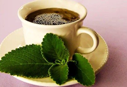 Chás podem ser grandes aliados após refeições exageradas -  (crédito: Recitadavovo.com.brDiur&eacute;tico, Anti-Inflamat&oacute;rio,  Gases, Calmante, ) -Chás podem ser grandes aliados após refeições exageradas -  (crédito: Recitadavovo.com.brDiur&eacute;tico, Anti-Inflamat&oacute;rio,  Gases, Calmante, )