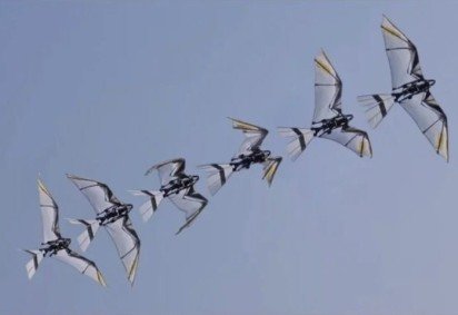 Pesquisadores chineses desenvolveram um robô que imita os movimentos de pássaros e morcegos de maneira autônoma. -  (crédito: Divulgação/Science Advances) -Pesquisadores chineses desenvolveram um robô que imita os movimentos de pássaros e morcegos de maneira autônoma. -  (crédito: Divulgação/Science Advances)