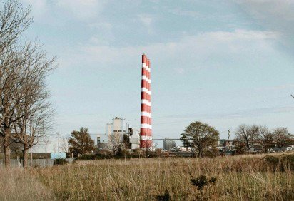 Grama urbana comum: técnica promete medir CO2 emitido por queima de combustíveis fósseis -  (crédito: Dylan Spangler/Pexels ) -Grama urbana comum: técnica promete medir CO2 emitido por queima de combustíveis fósseis -  (crédito: Dylan Spangler/Pexels )