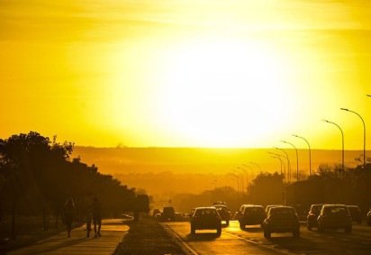 Com a chegada do verão no dia 21 de dezembro, o aumento das temperaturas e da umidade favorece a presença de animais dentro das residências.  -  (crédito: Marcello Casal Jr/Agencia Brasil) -Com a chegada do verão no dia 21 de dezembro, o aumento das temperaturas e da umidade favorece a presença de animais dentro das residências.  -  (crédito: Marcello Casal Jr/Agencia Brasil)