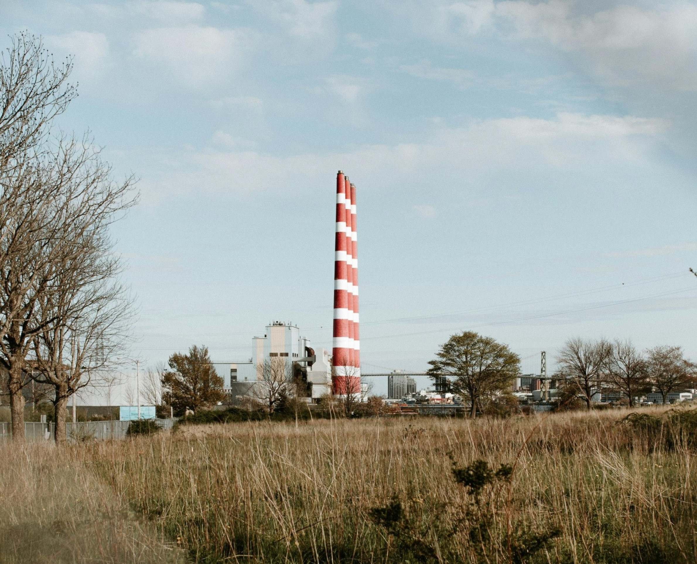 Grama urbana comum: técnica promete medir CO2 emitido por queima de combustíveis fósseis -  (crédito: Dylan Spangler/Pexels )