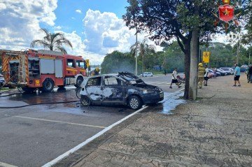 Bombeiros combatem incêndio em veículos próximo à orla da Ponte JK -  (crédito: CBMDF/Divulgação)