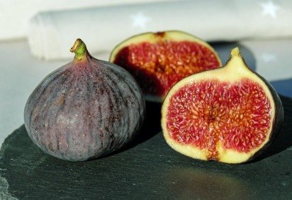 O figo é um pseudofruto da árvore chamada figueira (Ficus carica), pertencente à família Moraceae, que tem origem na região do Mediterrâneo. -  (crédito: Pixabay) -O figo é um pseudofruto da árvore chamada figueira (Ficus carica), pertencente à família Moraceae, que tem origem na região do Mediterrâneo. -  (crédito: Pixabay)