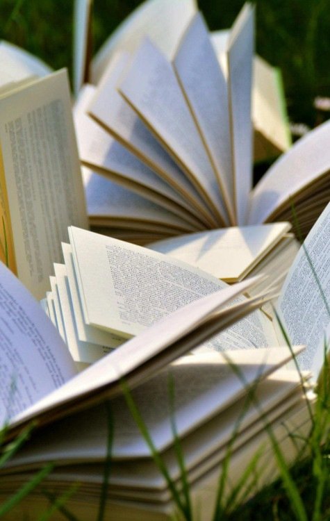 Comparações ligam perfis do jogo a narrativas já consagradas -  (crédito: Pexels)