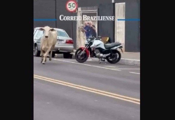 Reprodução/Instagram/guri_automecanica