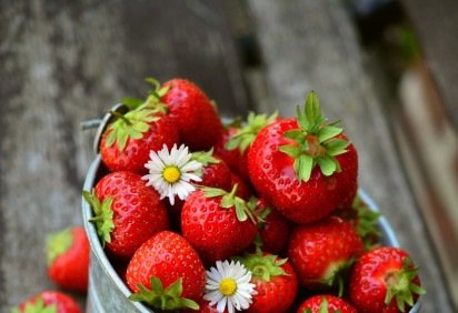 O morango é um pequeno fruto vermelho, doce e suculento,  cultivado e apreciado por seu sabor e valor nutricional. Mas, na mesa, é bem mais que isso. Versátil, cai bem em grande variedade de guloseimas.  -  (crédito: Imagem de congerdesign por Pixabay

) -O morango é um pequeno fruto vermelho, doce e suculento,  cultivado e apreciado por seu sabor e valor nutricional. Mas, na mesa, é bem mais que isso. Versátil, cai bem em grande variedade de guloseimas.  -  (crédito: Imagem de congerdesign por Pixabay

)