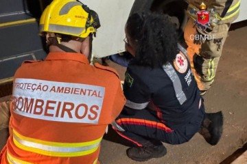 &Ocirc;nibus de transporte urbano atropela pedestre no Recanto das Emas -  (crédito: CBMDF/Divulgação)