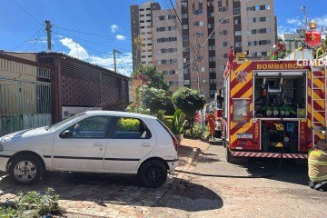 Bombeiros resgatam animal de estimação em casa incendiada na Samambaia -  (crédito: CBMDF/Divulgação)