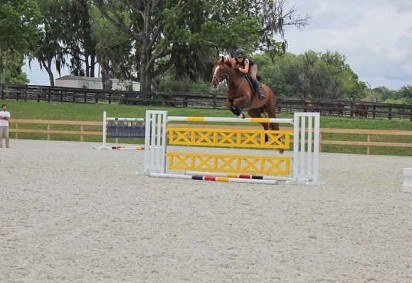 A cidade de Ocala, localizada no Condado de Marion, Flórida, nos Estados Unidos, é amplamente reconhecida e considerada a Capital Mundial do Cavalo. Afinal, essa área é um berço de campeões, produzindo cavalos puro-sangue que venceram corridas icônicas como o Kentucky Derby. -  (crédito: Reprodução do Flickr Eleanor Rhinehart) -A cidade de Ocala, localizada no Condado de Marion, Flórida, nos Estados Unidos, é amplamente reconhecida e considerada a Capital Mundial do Cavalo. Afinal, essa área é um berço de campeões, produzindo cavalos puro-sangue que venceram corridas icônicas como o Kentucky Derby. -  (crédito: Reprodução do Flickr Eleanor Rhinehart)