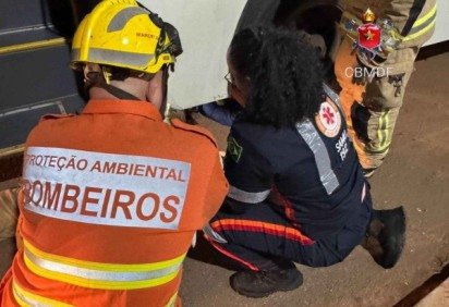 &Ocirc;nibus de transporte urbano atropela pedestre no Recanto das Emas