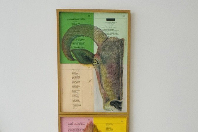 08.Demi Kaia. Oh! Minha Cabra 3, 2025 Lápis s. papel impresso e ferramenta 120 x 12 cm