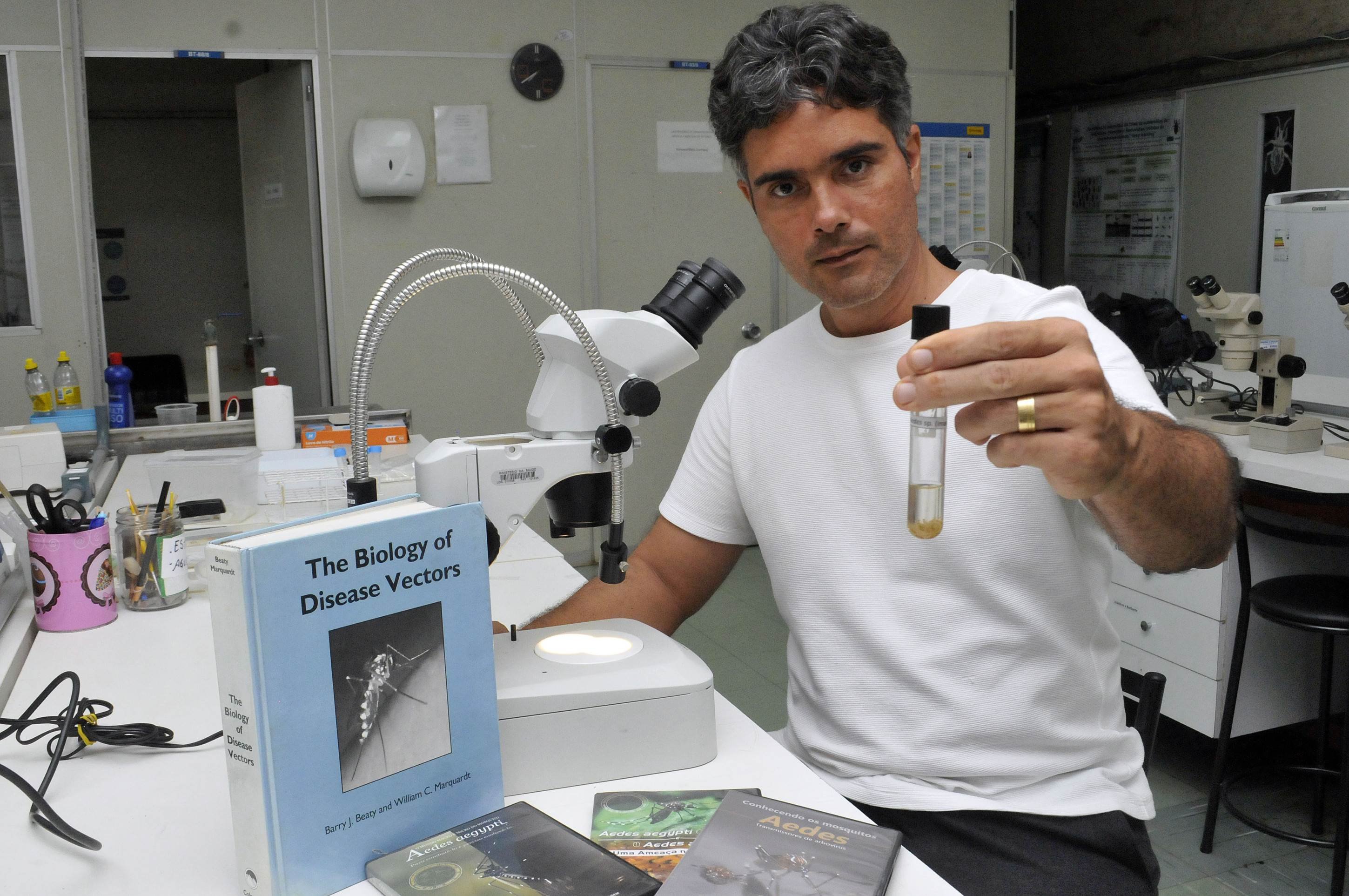 Com a chegada do verão, atenção ao mosquito da dengue deve ser redobrada