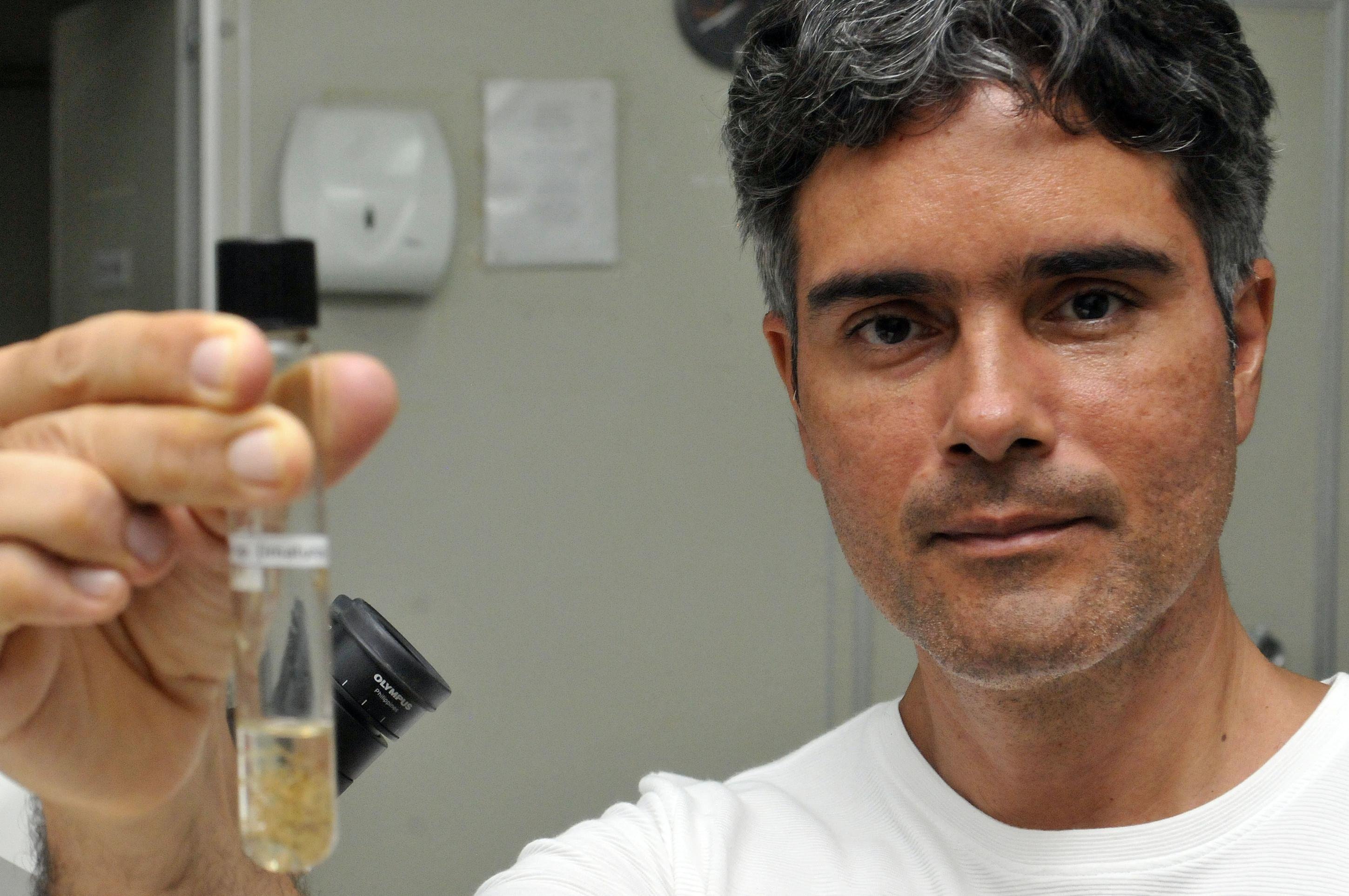  25/12/2025 Cr&eacute;dito: Marcelo Ferreira/CB/D.A Press. Brasil. Bras&iacute;lia - DF - UnB, Faculdade de Medicina, departamento de parasitologia, Professor Rodrigo Gurgel, fala sobre a Dengue.