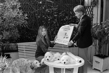 Ativista, Brigitte Bardot dedicou grande parte da vida &agrave; causa animal -  (crédito:  AFP) -Ativista, Brigitte Bardot dedicou grande parte da vida &agrave; causa animal -  (crédito:  AFP)