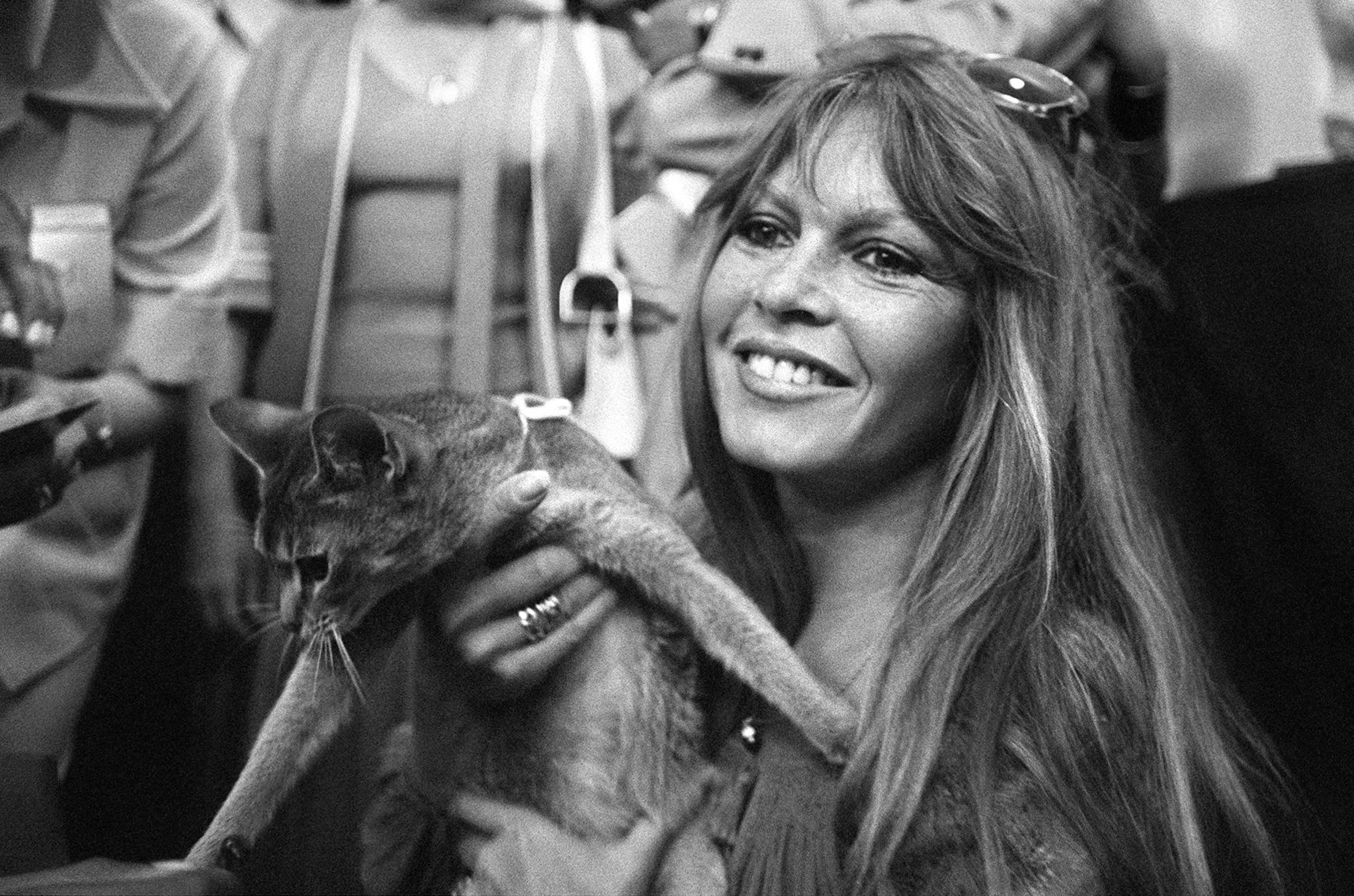 Brigitte Bardot participa de exposi&ccedil;&atilde;o internacional de gatos em Saint-Tropez      