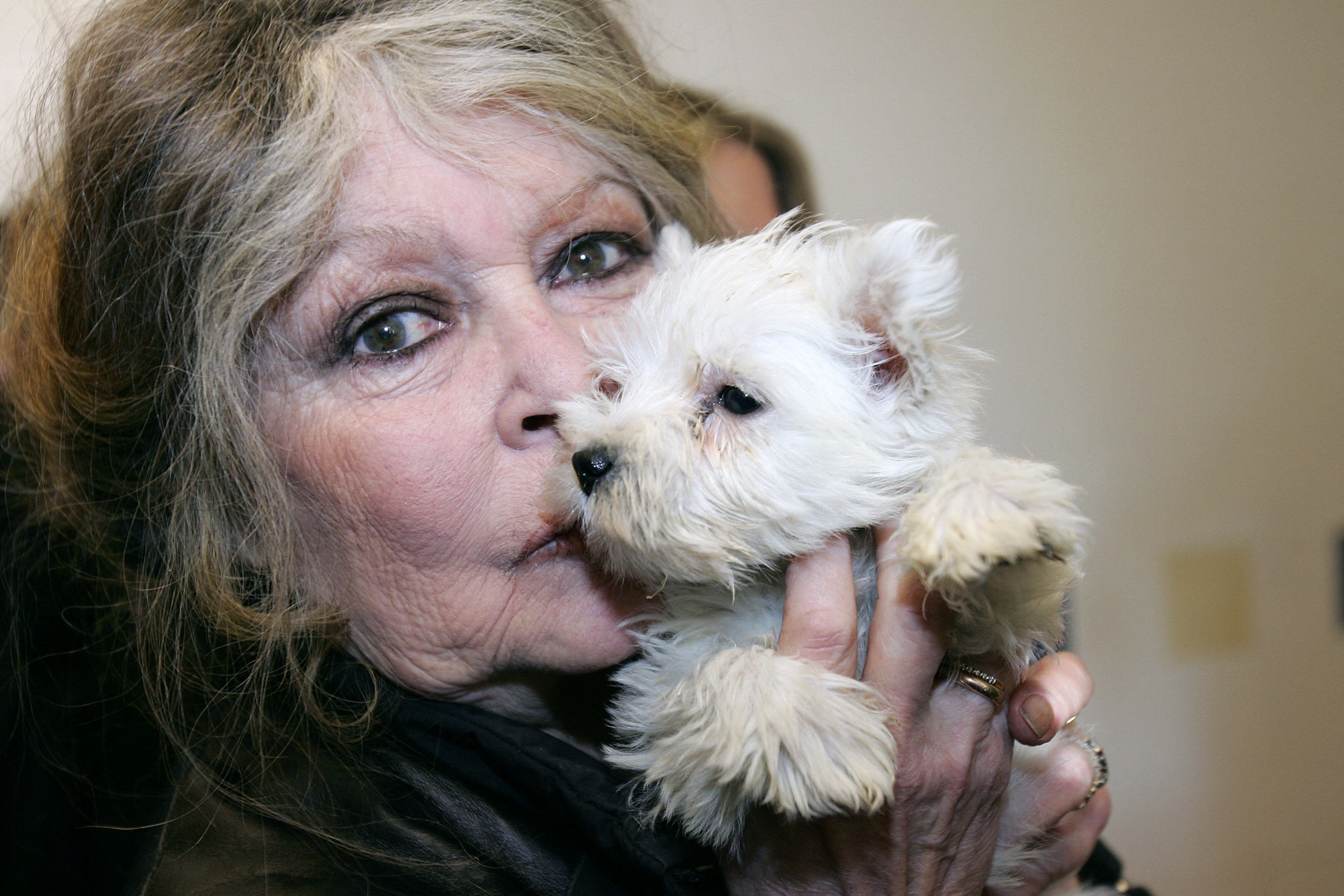  (FILES) French actress and animal rights activist Brigitte Bardot in a dog pound in Nice (southern France), holding one of 143 puppies seized by customs officiers in a Hungarian van, on December 28, 2005. French actress Brigitte Bardot died at 91 AFP learned from Bardot foundation on December 28, 2025. (Photo by Valery HACHE / AFP)       