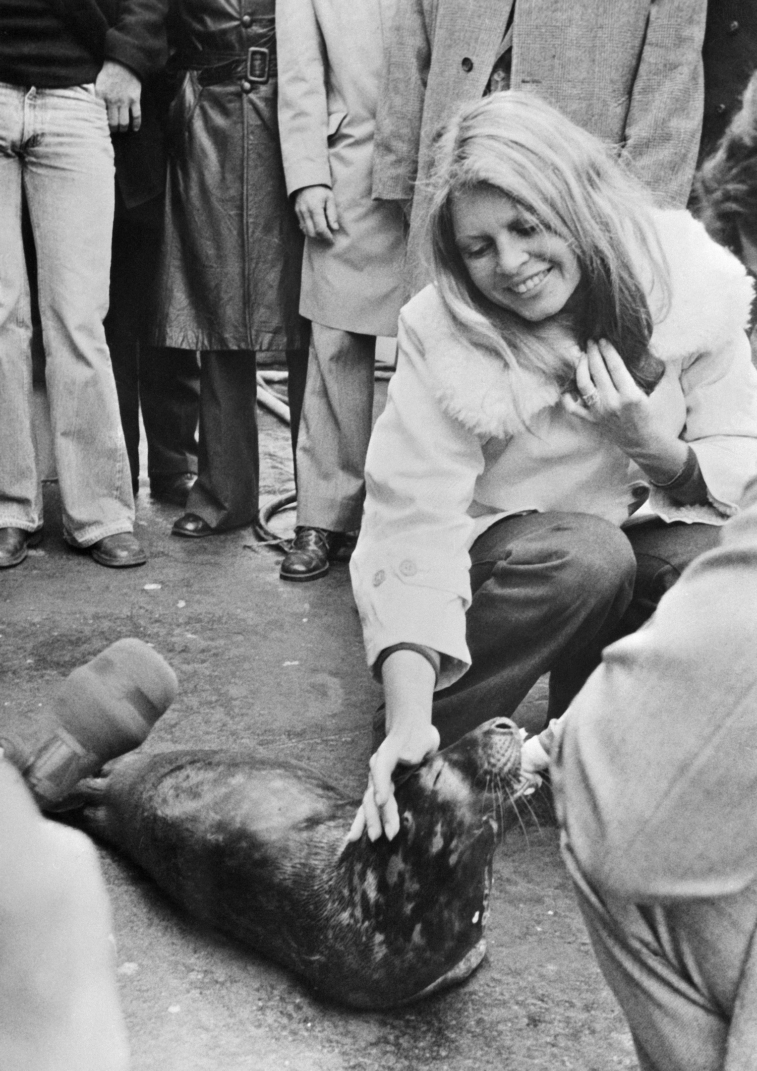 Brigitte Bardot recebe filhote de foca resgatado e refor&ccedil;a sua luta contra a ca&ccedil;a      