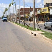     -  (crédito: Matheus H. Souza/Agência Brasília)