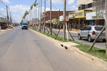     -  (crédito: Matheus H. Souza/Agência Brasília)