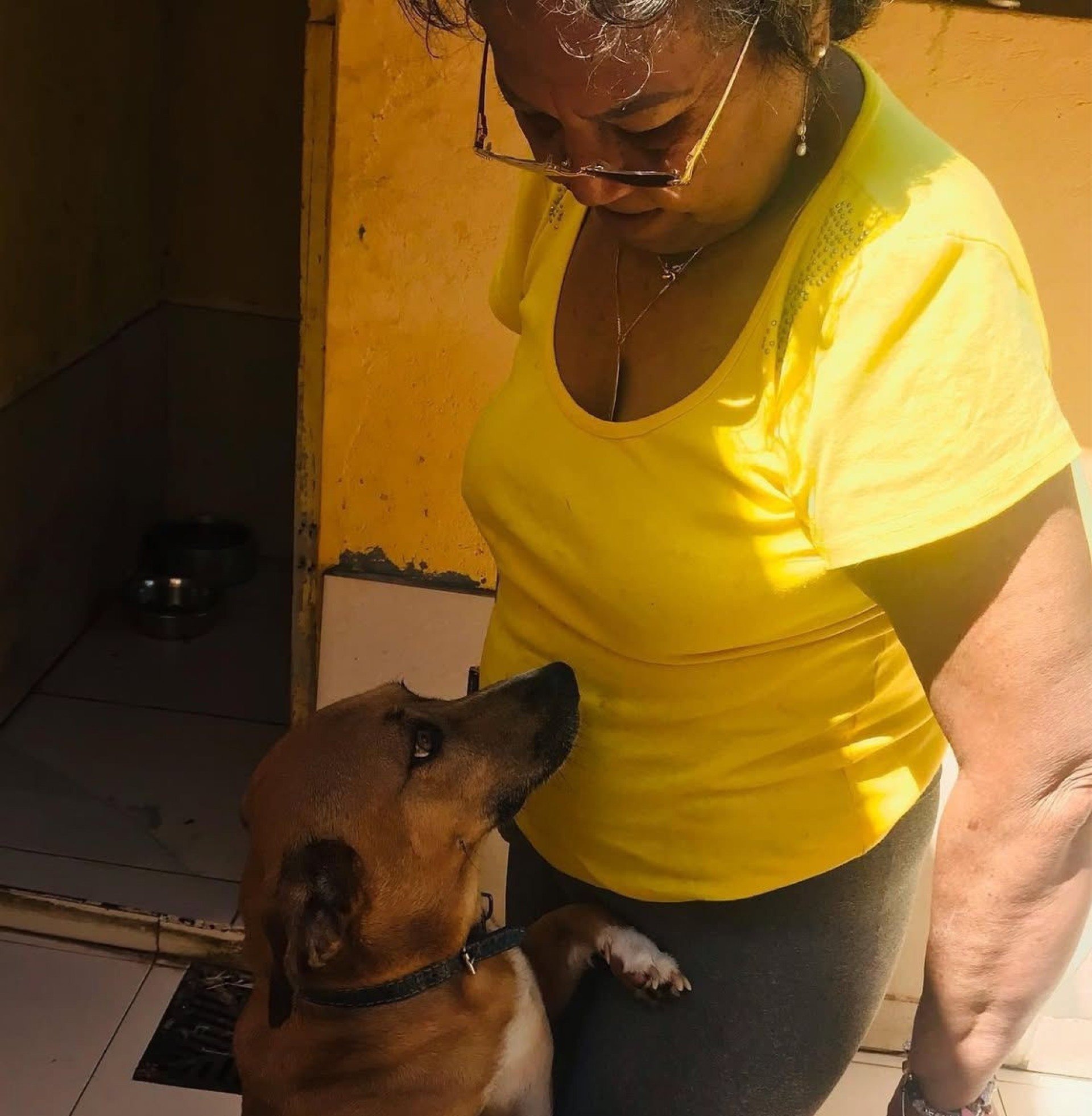 Alan Vieira herdou de sua m&atilde;e o cachorro caramelo chamado Nike