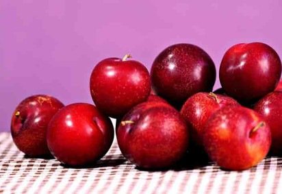 A ameixa, além de saborosa, possui diversas utilidades. Não só na cozinha, mas até para a estética, por exemplo. O fruto, proveniente da ameixeira, é amplamente conhecida por suas qualidades nutricionais e seus benefícios para a saúde.  -  (crédito:  Imagem de hartono subagio por Pixabay) -A ameixa, além de saborosa, possui diversas utilidades. Não só na cozinha, mas até para a estética, por exemplo. O fruto, proveniente da ameixeira, é amplamente conhecida por suas qualidades nutricionais e seus benefícios para a saúde.  -  (crédito:  Imagem de hartono subagio por Pixabay)