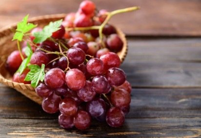 Os benefícios da uva se estendem à saúde do corpo e da mente (Imagem: Nungning20 | Shutterstock) -  (crédito: EdiCase) -Os benefícios da uva se estendem à saúde do corpo e da mente (Imagem: Nungning20 | Shutterstock) -  (crédito: EdiCase)