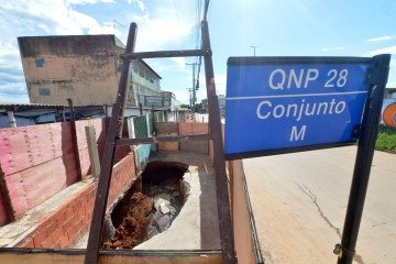 Prazo para a retirada é de até 60 dias, nas quadras QNP 10 até a QNP 28 -  (crédito:  Ed Alves/CB/DA Press)