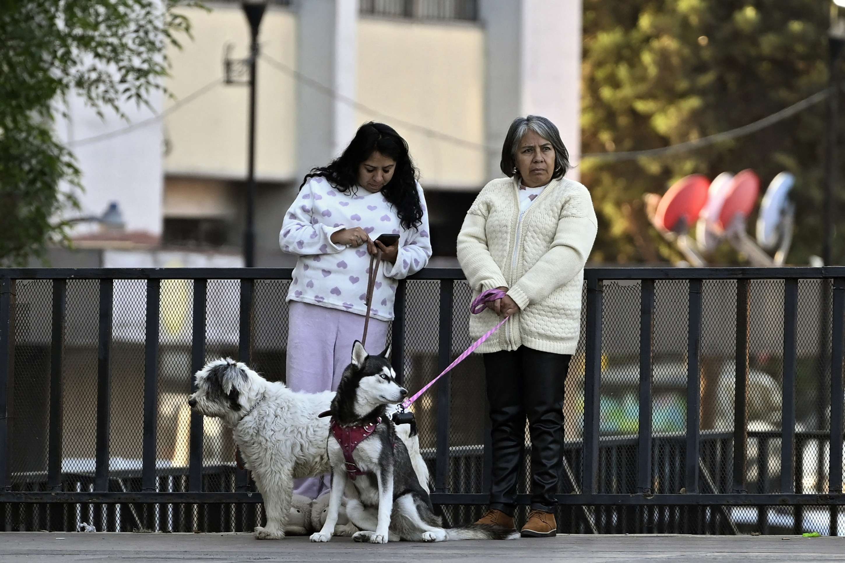 Mulheres permanecem na rua com seus c&atilde;es ap&oacute;s evacuarem suas casas durante um terremoto de magnitude 6,5 na Cidade do M&eacute;xico, em 2 de janeiro de 2026 