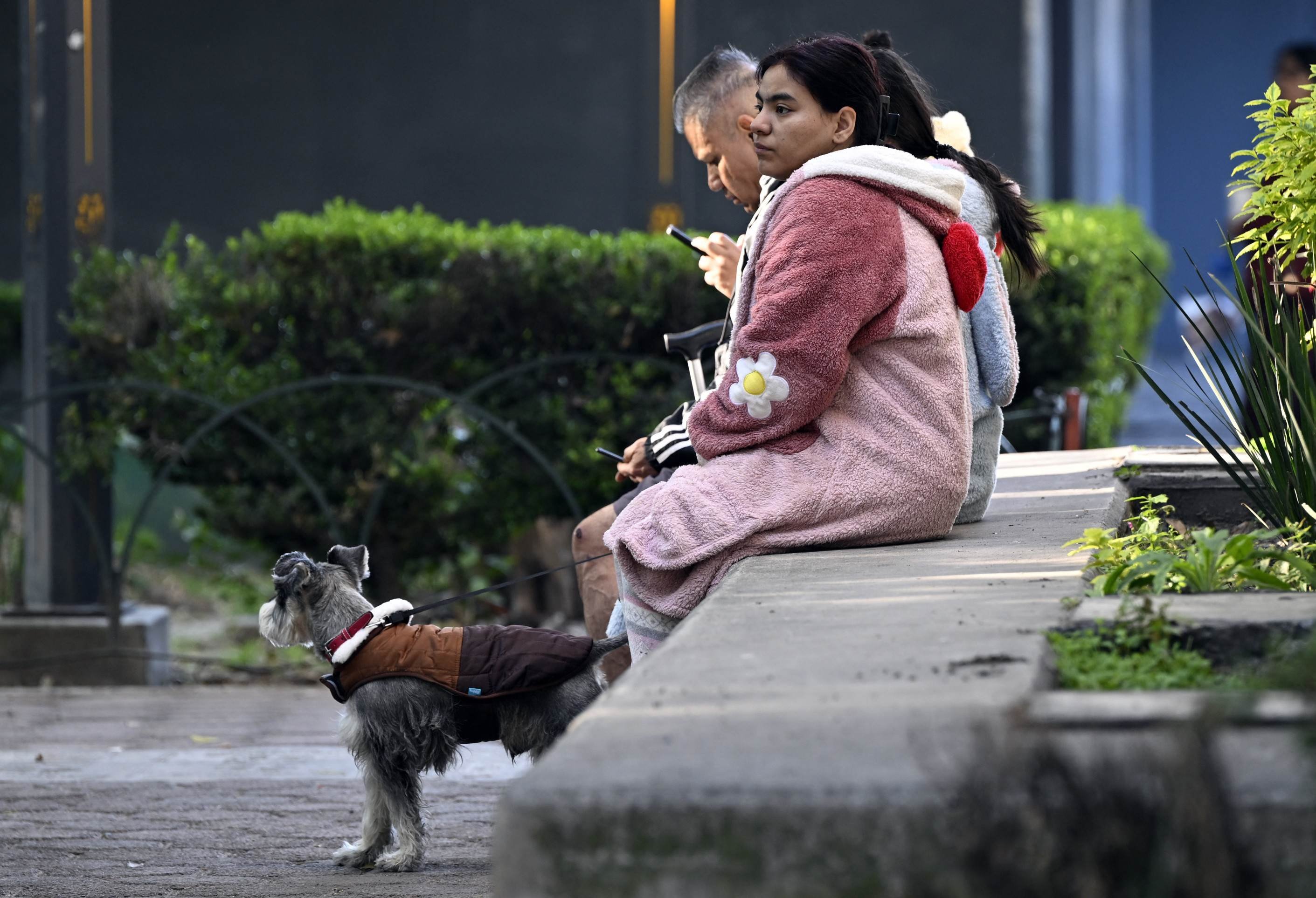 Pessoas permanecem na rua com seu cachorro ap&oacute;s evacuarem suas casas durante um terremoto de magnitude 6,5 na Cidade do M&eacute;xico, em 2 de janeiro de 2026
