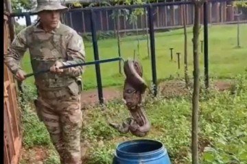 Jiboia foi resgatada em galinheiro localizado no Setor de Mansões Dom Bosco -  (crédito: Divulgação/PMDF)