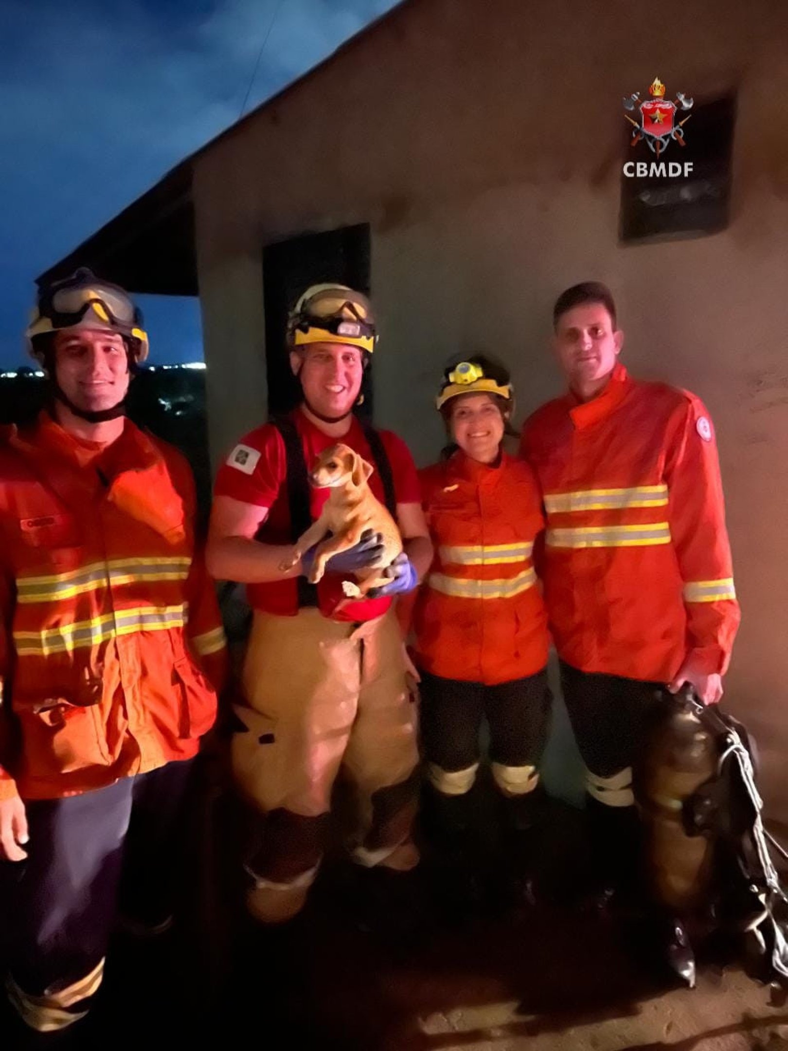 C&atilde;o foi resgatado em tubula&ccedil;&atilde;o com aproximadamente dez metros de profundidade