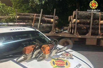 Fiscalização flagra transporte irregular de madeira no Gama
 -  (crédito: PMDF/Divulgação)