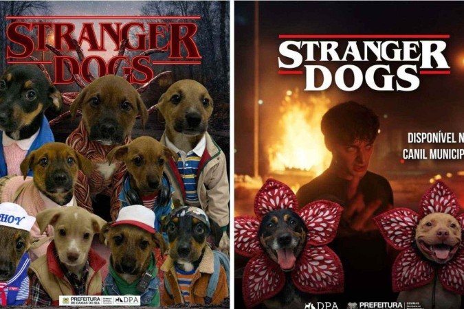 Departamento de Proteção Animal (DPA) de Caxias do Sul (RS) uniu cães para adoção com o universo da série 'Stranger things'
- (crédito: Redes sociais) Departamento de Proteção Animal (DPA) de Caxias do Sul (RS) uniu cães para adoção com o universo da série 'Stranger things'
- (crédito: Redes sociais)