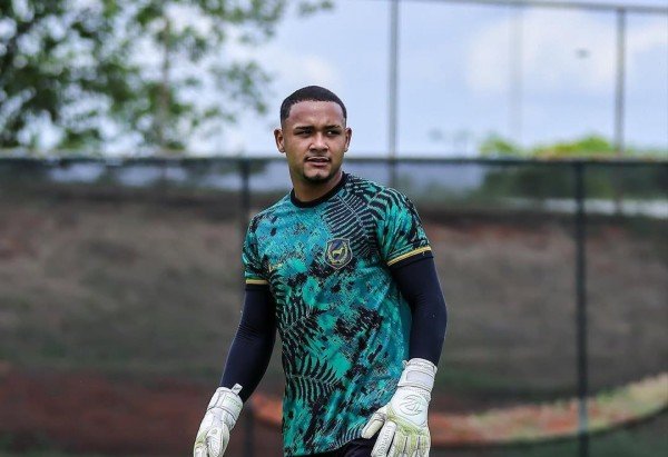 Divulgação/Samambaia