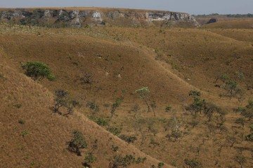 Vista do cerrado próximo à comunidade São Pedro, nos Gerais de Balsas, no Maranhão, na região do Matopiba -  (crédito: Fernando Frazão/Agência Brasil)