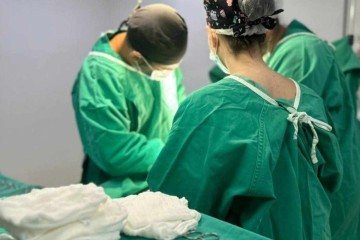 Os recém-nascidos estavam internados na Unidade de Terapia Intensiva Neonatal (UTIN) do Hospital Estadual da Mulher (Hemu), em Goiânia -  (crédito: Divulgação/Hospital Estadual da Mulher)