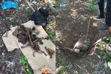 Ossada humana foi encontrada, mas ainda permanece sem identificação -  (crédito: Reprodução/PCERJ)