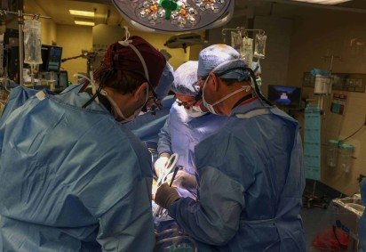 Primeiro transplante de rim de porco em humanos foi feito em um paciente de 62 anos em março de 2024, no Hospital Geral de Massachusetts, Estados Unidos -  (crédito: Divulgação/Hospital Geral de Massachusetts) -Primeiro transplante de rim de porco em humanos foi feito em um paciente de 62 anos em março de 2024, no Hospital Geral de Massachusetts, Estados Unidos -  (crédito: Divulgação/Hospital Geral de Massachusetts)