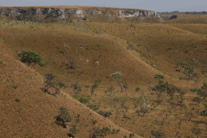 Vista do cerrado próximo à comunidade São Pedro, nos Gerais de Balsas, no Maranhão, na região do Matopiba - (crédito: Fernando Frazão/Agência Brasil) Vista do cerrado próximo à comunidade São Pedro, nos Gerais de Balsas, no Maranhão, na região do Matopiba - (crédito: Fernando Frazão/Agência Brasil)