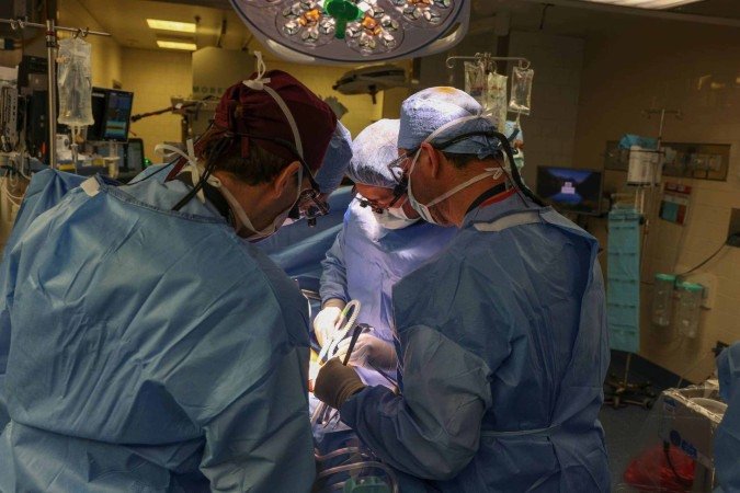 Primeiro transplante de rim de porco em humanos foi feito em um paciente de 62 anos em março de 2024, no Hospital Geral de Massachusetts, Estados Unidos - (crédito: Divulgação/Hospital Geral de Massachusetts) Primeiro transplante de rim de porco em humanos foi feito em um paciente de 62 anos em março de 2024, no Hospital Geral de Massachusetts, Estados Unidos - (crédito: Divulgação/Hospital Geral de Massachusetts)