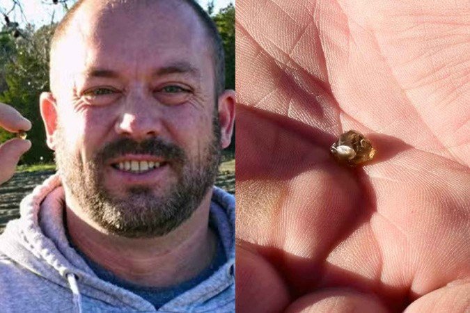 James Ward diz não saber se vai vender diamante encontrado - (crédito: Reprodução/Arkansas State Parks) James Ward diz não saber se vai vender diamante encontrado - (crédito: Reprodução/Arkansas State Parks)